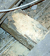 Befallene Deckenbalken Befallene Deckenbalken